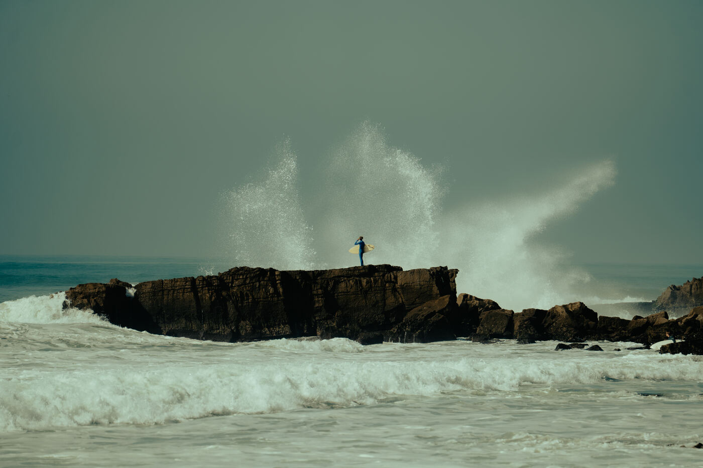 Photograph